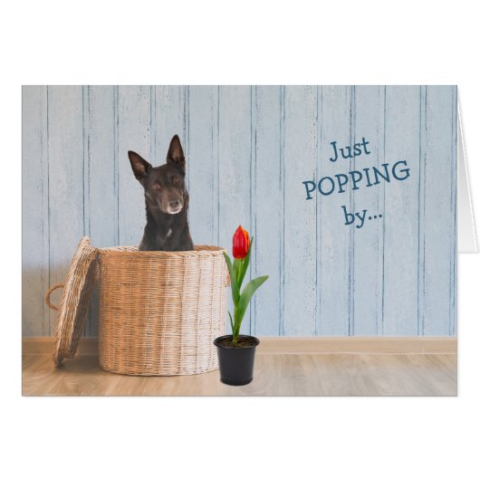 Australische Kelpie Dog Wicker Basket Birthday Car (Vorderseite (Horizontal))