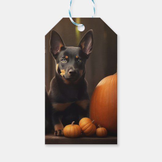 Australische Kelpie Welpe Autumn Delight Pumpkin Geschenkanhänger (Vorderseite)