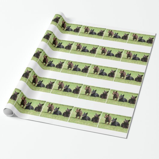 Australische Kelpie-Welpen Geschenkpapier (Ungerollt)