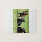 Australische Kelpie-Welpen Puzzle (Horizontal)