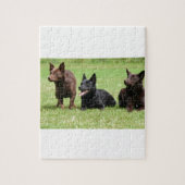 Australische Kelpie-Welpen Puzzle (Vertikal)