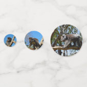 Australische Koala Bears, Konfetti (Vorderseiten)