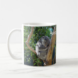Australische Koala-Tasse Kaffeetasse