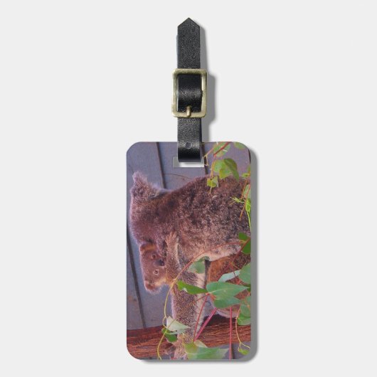 Australische Koala und Baby Gepäckanhänger (Vorderseite vertikal)