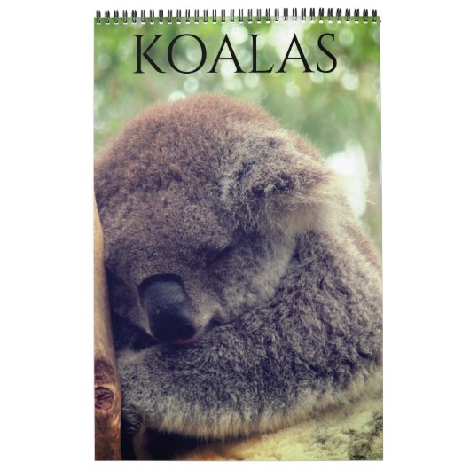 australische Koalas 2027 Kalender (Titelbild)