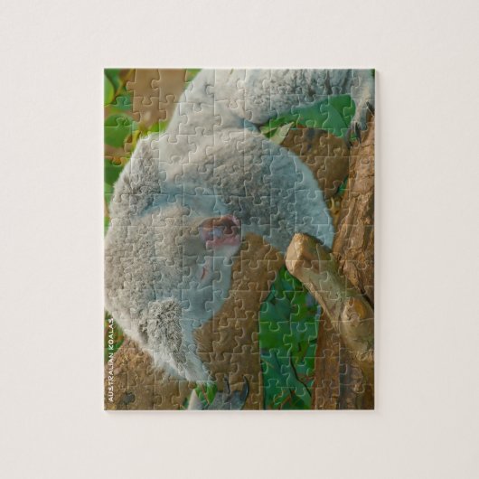 Australische Koalas Puzzle (Vertikal)