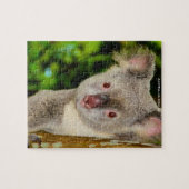 Australische Koalas Puzzle (Horizontal)