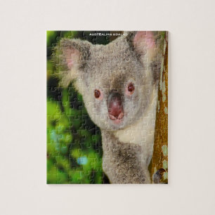 Australische Koalas Puzzle