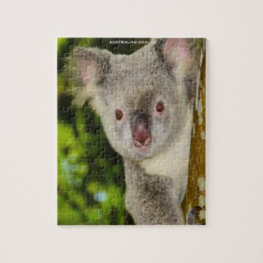 Australische Koalas Puzzle (Vertikal)