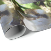 australische Kookaburra Nah Up, Geschenkpapier (Rolleneckpunkt)