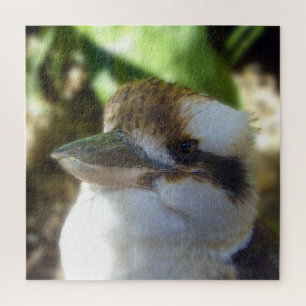 australische Kookaburra Nah Up, Puzzle