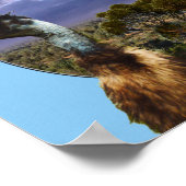 australische Kookaburra und Emu, Poster (Ecke)