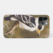 australische Kookaburramalerei, Case-Mate iPhone Hülle (Rückseite (Horizontal))