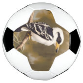 australische Kookaburramalerei, Fußball (Gedreht)