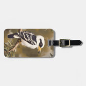 australische Kookaburramalerei, Gepäckanhänger (Vorderseite horizontal)