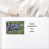 Australische Liebe (Insitu)