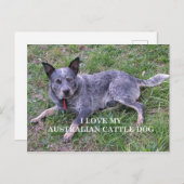 Australische Liebe Postkarte (Vorne/Hinten)