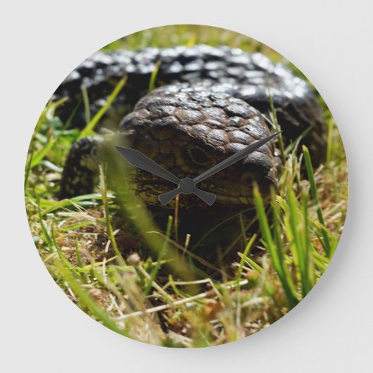 Australische Lizard (Stumpy)   Große Wanduhr (Vorderseite)