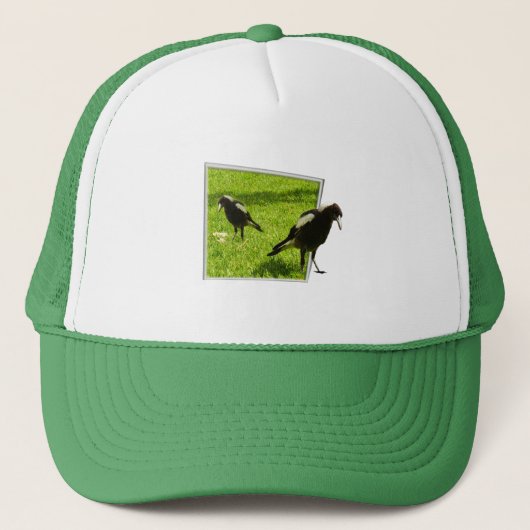 Australische Magpie Birds, Truckerkappe (Vorderseite)
