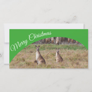 Australische Merry Weihnachts-Fotokarte Feiertagskarte