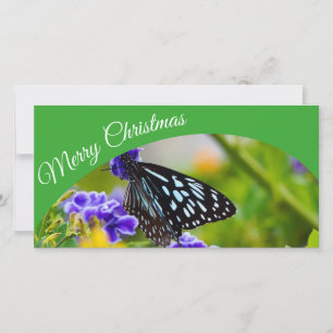 Australische Merry Weihnachts-Fotokarte Feiertagskarte