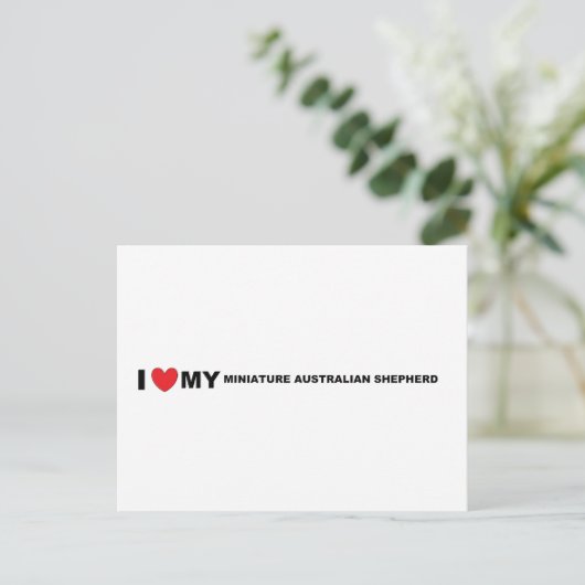 Australische Miniaturschäfer-Liebe Postkarte (Stehend Vorderseite)
