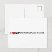 Australische Miniaturschäfer-Liebe Postkarte (Vorne/Hinten)