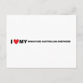 Australische Miniaturschäfer-Liebe Postkarte (Vorderseite)