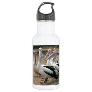 Australische Pelikane auf Phillip Island Trinkflasche