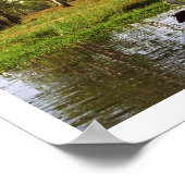 Australische Pelikane, Kakadu Nationalpark, NT Poster (Ecke)