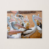 Australische Pelikane Puzzle (Horizontal)