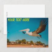 Australische Pelikarkarte (Vorne/Hinten)