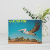 Australische Pelikarkarte (Stehend Vorderseite)