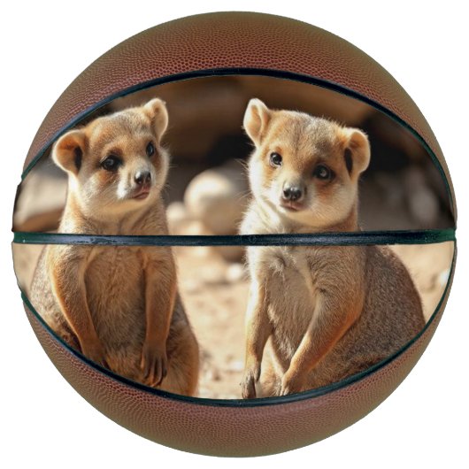 Australische Quokka Twins, Basketball (Vorderseite)