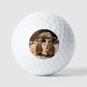 Australische Quokka Twins, Golfball (Vorderseite)