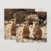 Australische Quokka Twins, Save The Date (Vorne/Hinten)