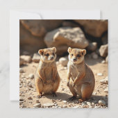 Australische Quokka Twins, Save The Date (Rückseite)