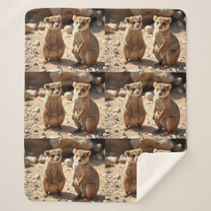 Australische Quokka Twins, Sherpadecke