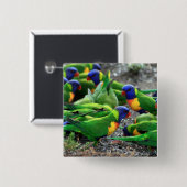 Australische Rainbow Lorikeets Button (Vorne & Hinten)
