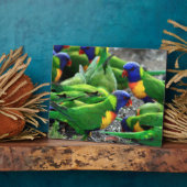 Australische Rainbow Lorikeets Fotoplatte (Seite)