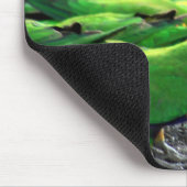 Australische Rainbow Lorikeets Mousepad (Ecke)