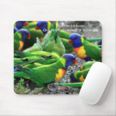Australische Rainbow Lorikeets Mousepad (Mit Mouse)