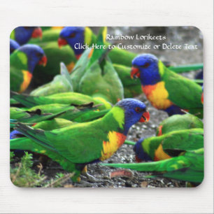 Australische Rainbow Lorikeets Mousepad