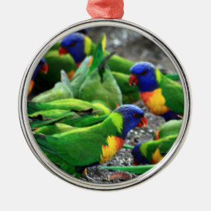 Australische Rainbow Lorikeets Ornament Aus Metall