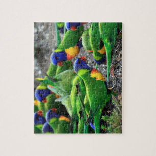 Australische Rainbow Lorikeets Puzzle