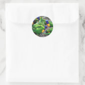 Australische Rainbow Lorikeets Runder Aufkleber (Tasche)
