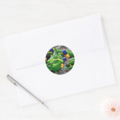 Australische Rainbow Lorikeets Runder Aufkleber (Umschlag)