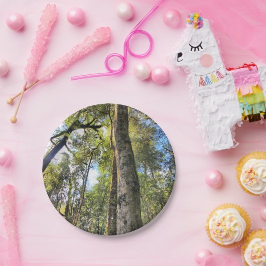 Australische Regenwald-Eukalyptus-Gummi-Bäume Pappteller (Party)