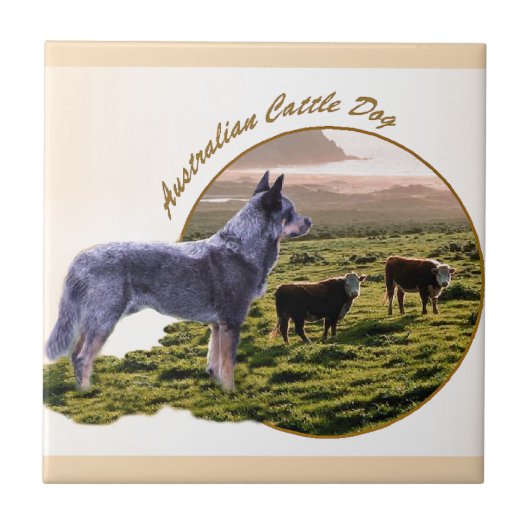 Australische Rind Dog Art Fliese (Vorderseite)