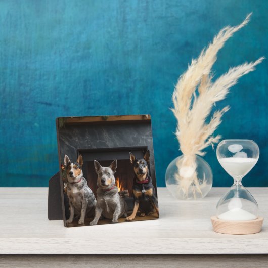 Australische Rinder am Feuerplatz Weihnachten Fotoplatte (InSitu)